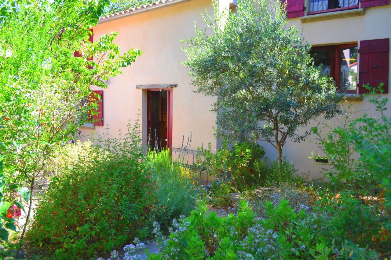 Maison de la Vigne Venzolasca Extérieur photo
